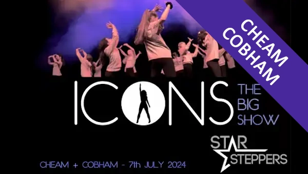 ICONS SHOW 2